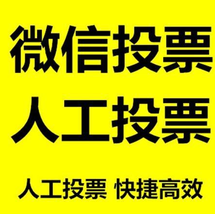 阜新市微信刷票怎么投票