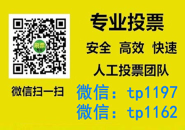 阜新市微信手动投票费多少钱让我告诉你微信投了多少